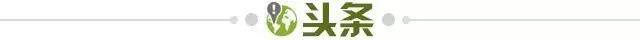 edd86f40-327c-420f-a994-eebd0cd5961f.jpg@!img01